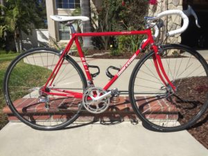 Bridgstone Synergy RB1