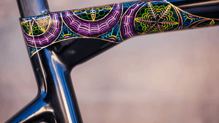 bike paint seat tube