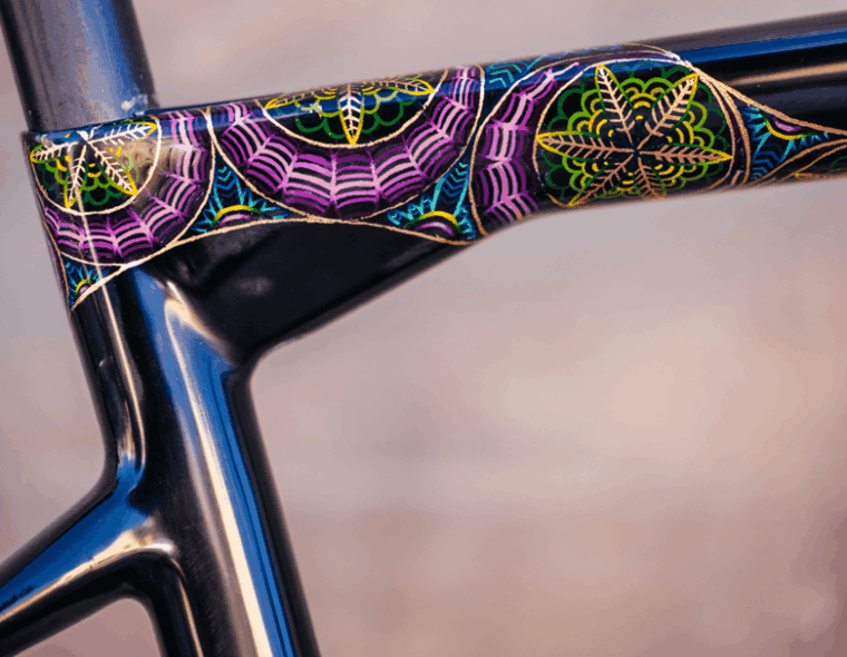 bike paint seat tube